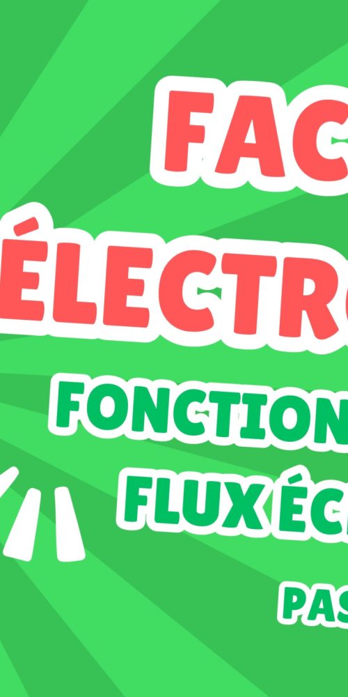 La facture électronique, comment ça marche ? Quels sont les flux échangés ?