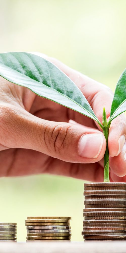 AUGMENTATION DE CAPITAL POUR MATA