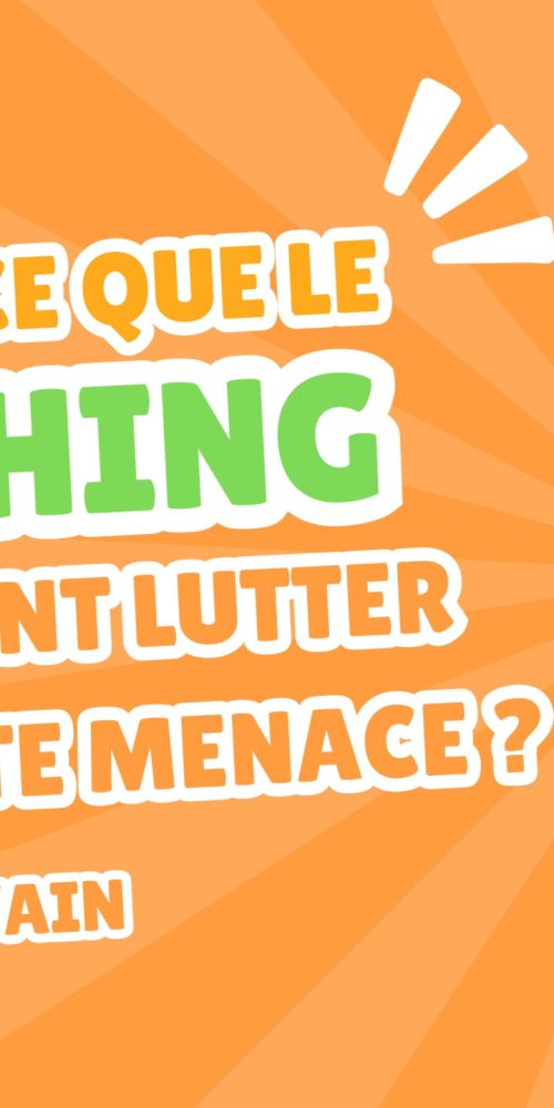 Qu’est-ce que le phishing et comment lutter contre cette menace ?